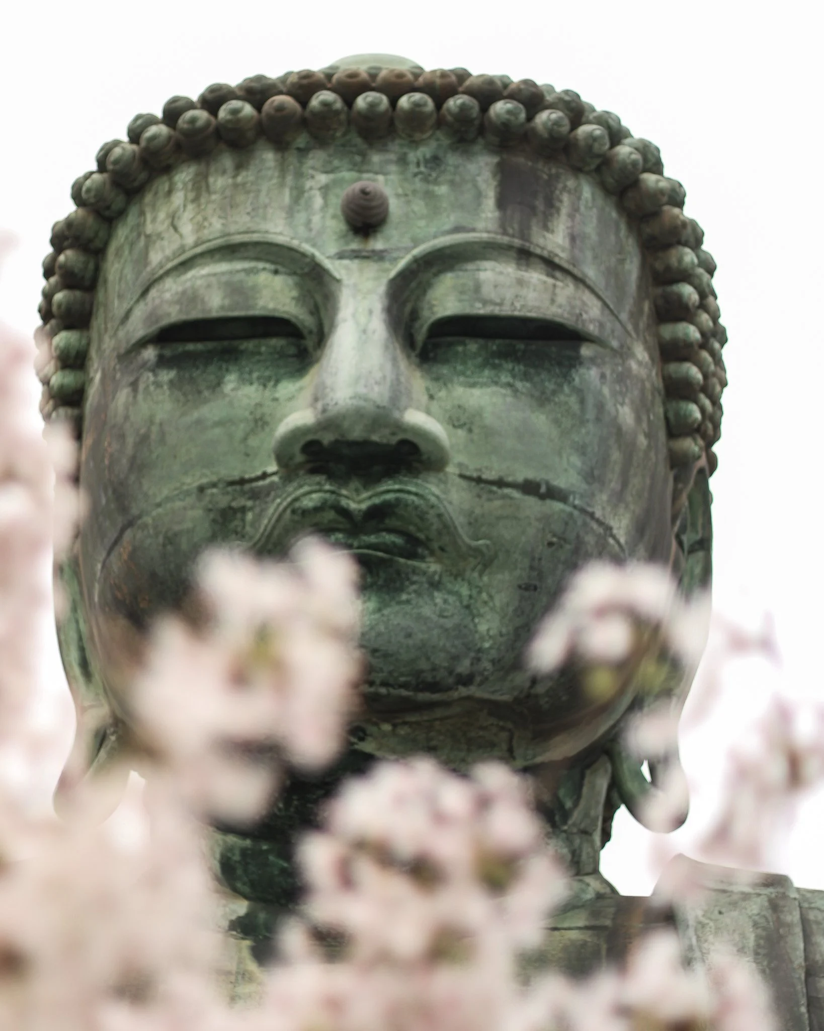 Close-up of a large weathered bronze statue of Buddha's face with flowers in the foreground.