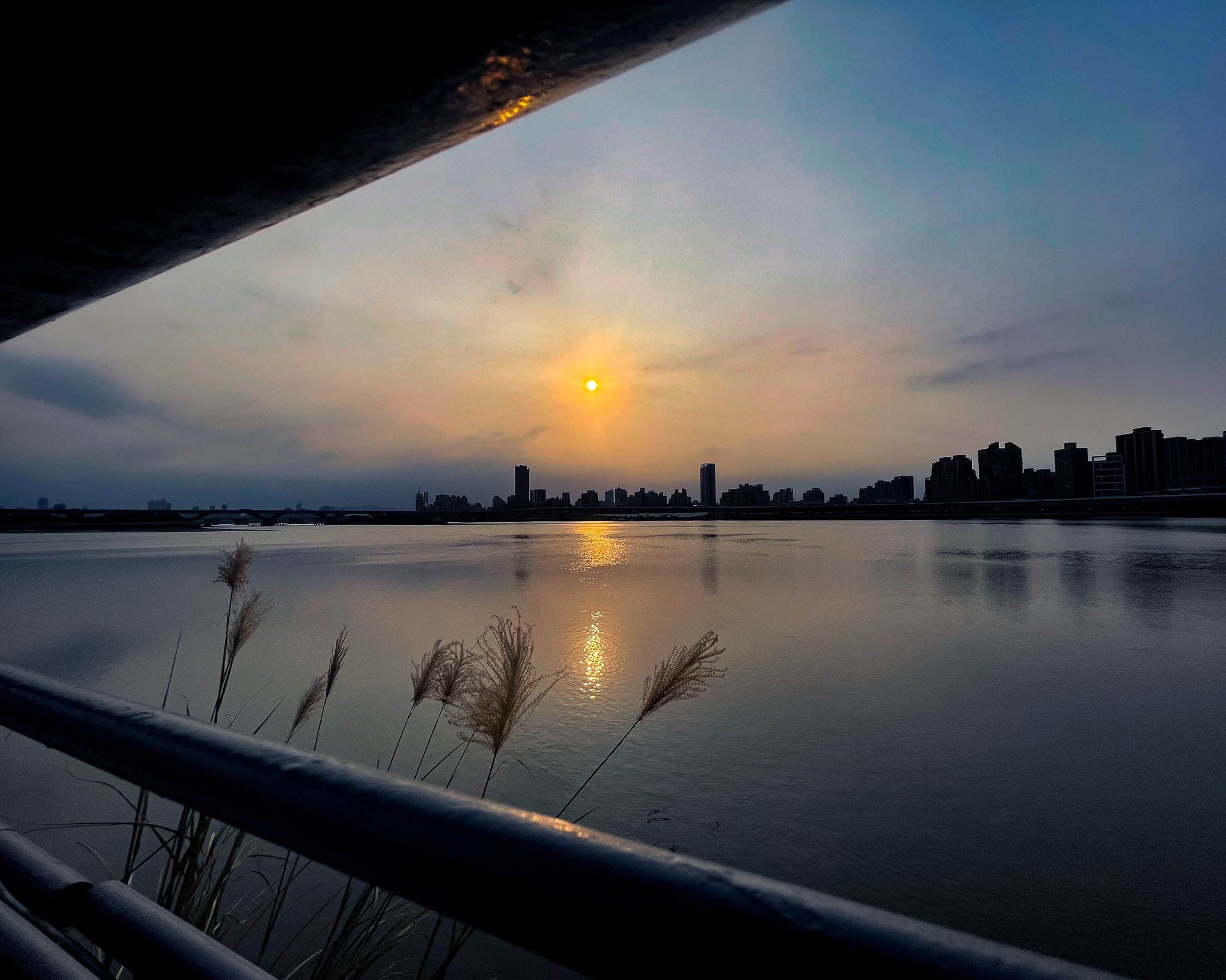 kushphoto-taipei-riverside-sunset-reeds-2024.jpg