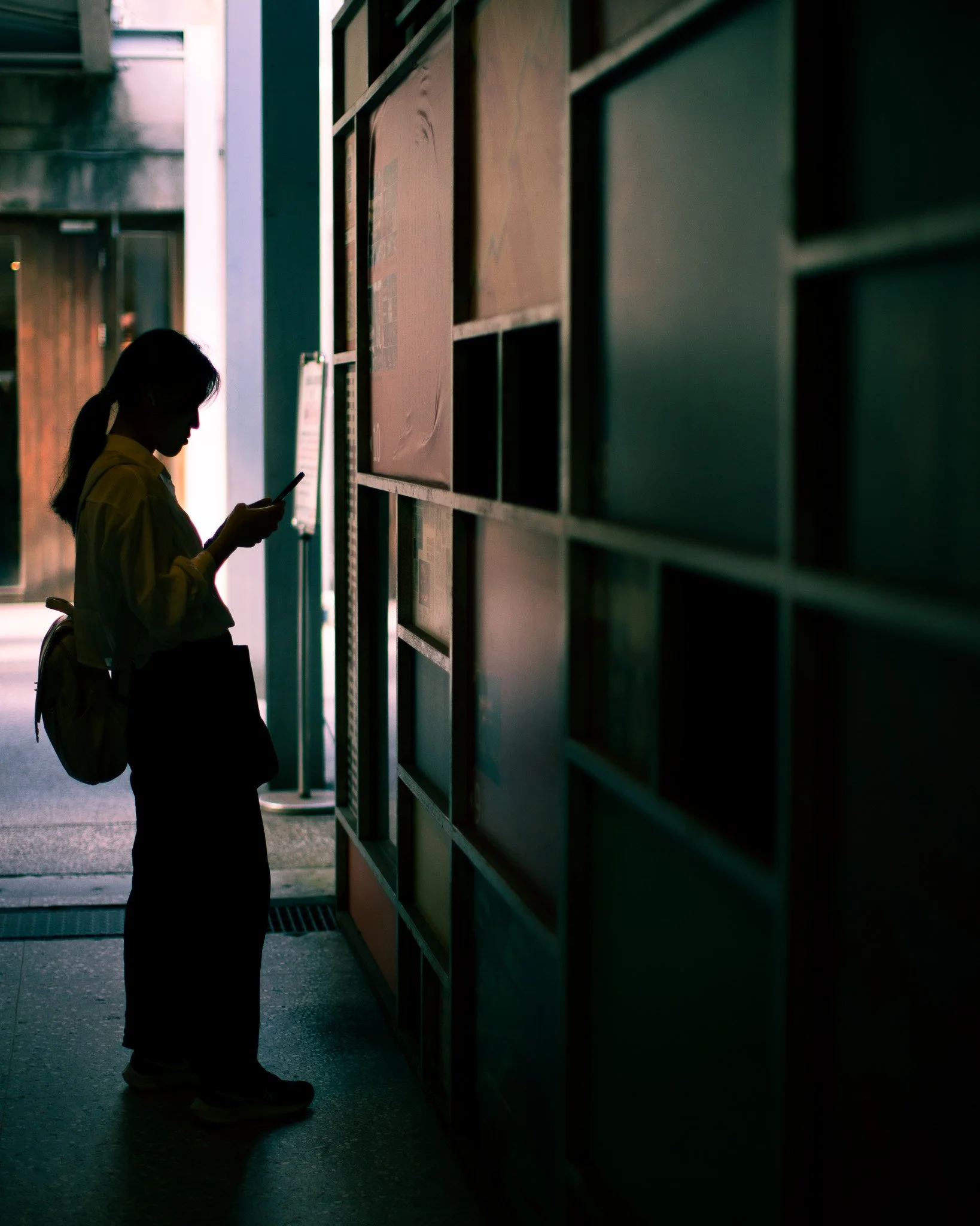 kushphoto-taiwan-silhouette-woman-phone-posters-2024.jpg