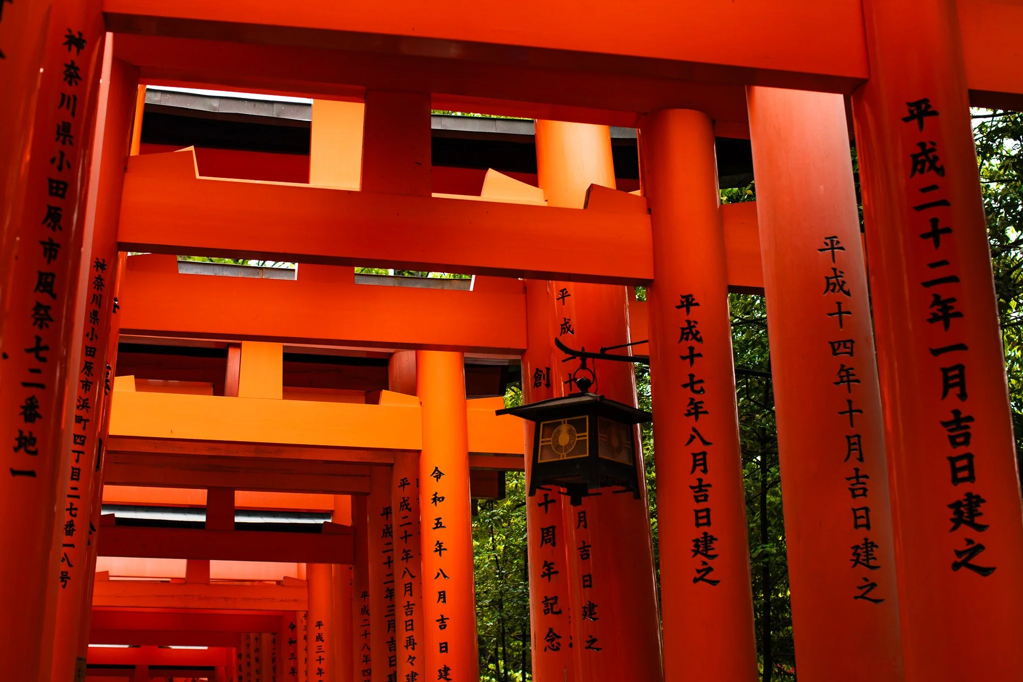 kushphoto-kyoto-torii-gate-tunnel-2024.jpg