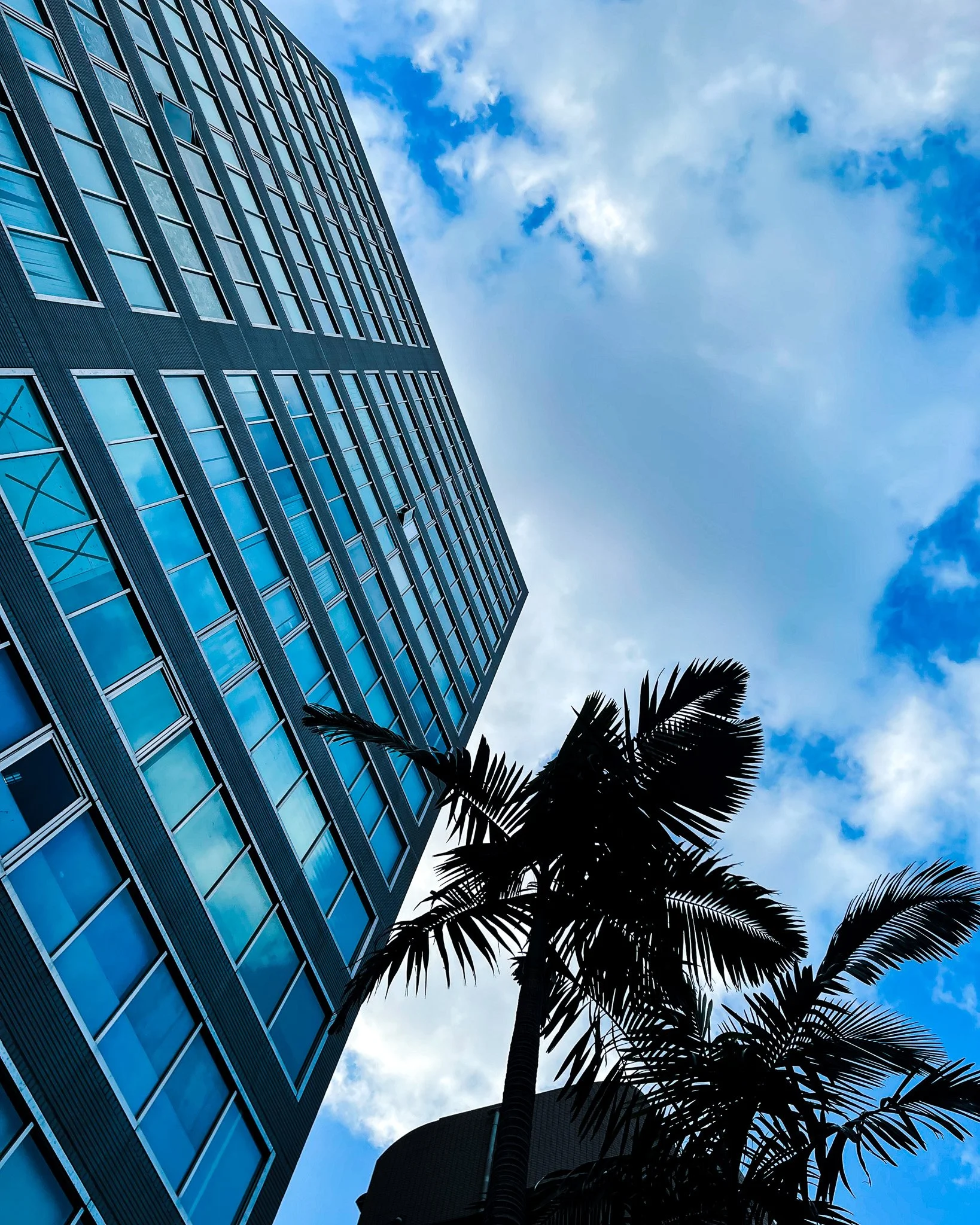 kushphoto-taiwan-glass-tower-palm-silhouette-2022.jpg