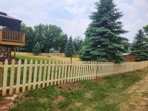 A backyard with a light-colored picket fence, tall evergreen trees, grassy lawn, and a house with a deck on the left.