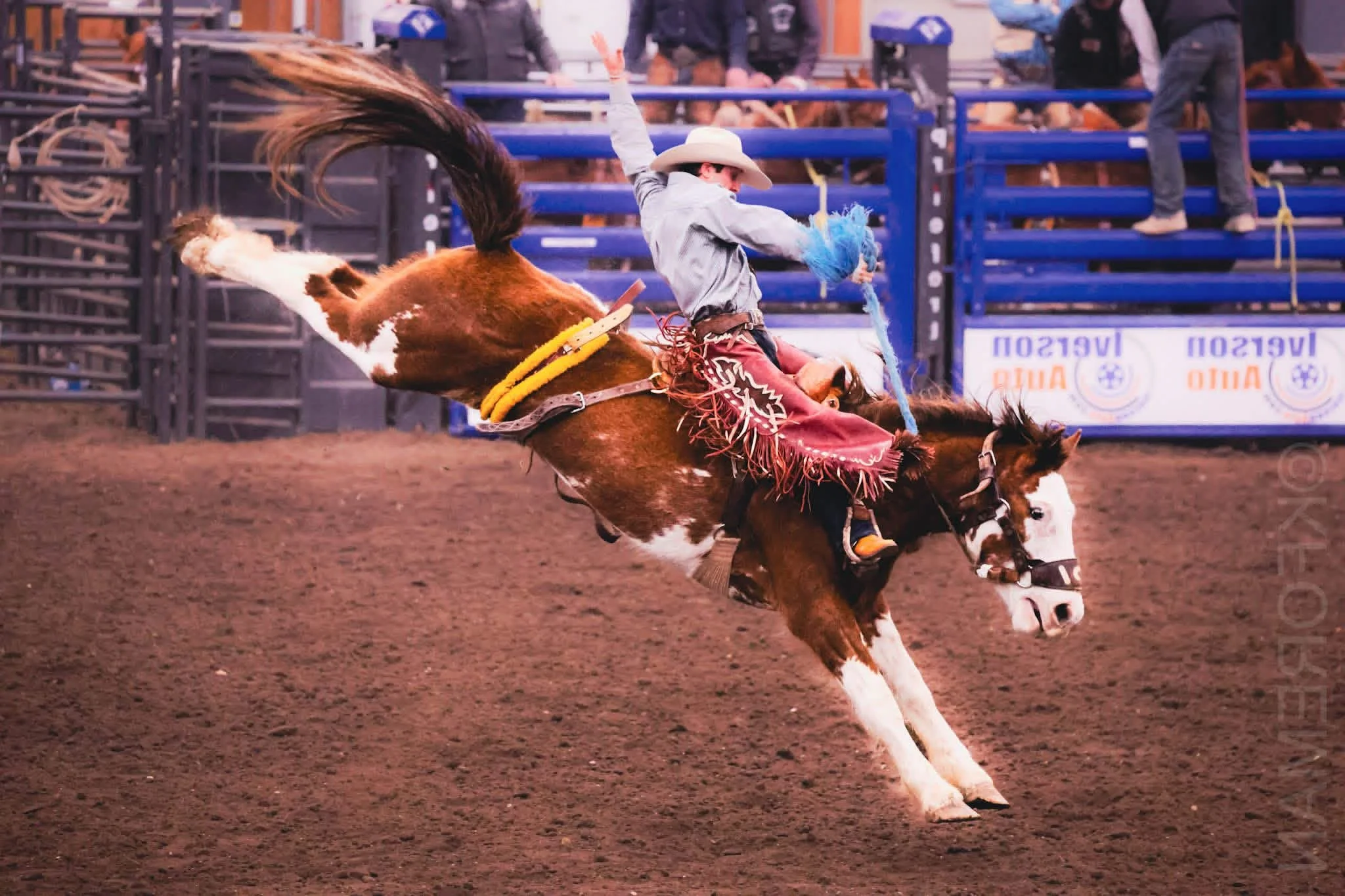 Mackay PRCA Rodeo