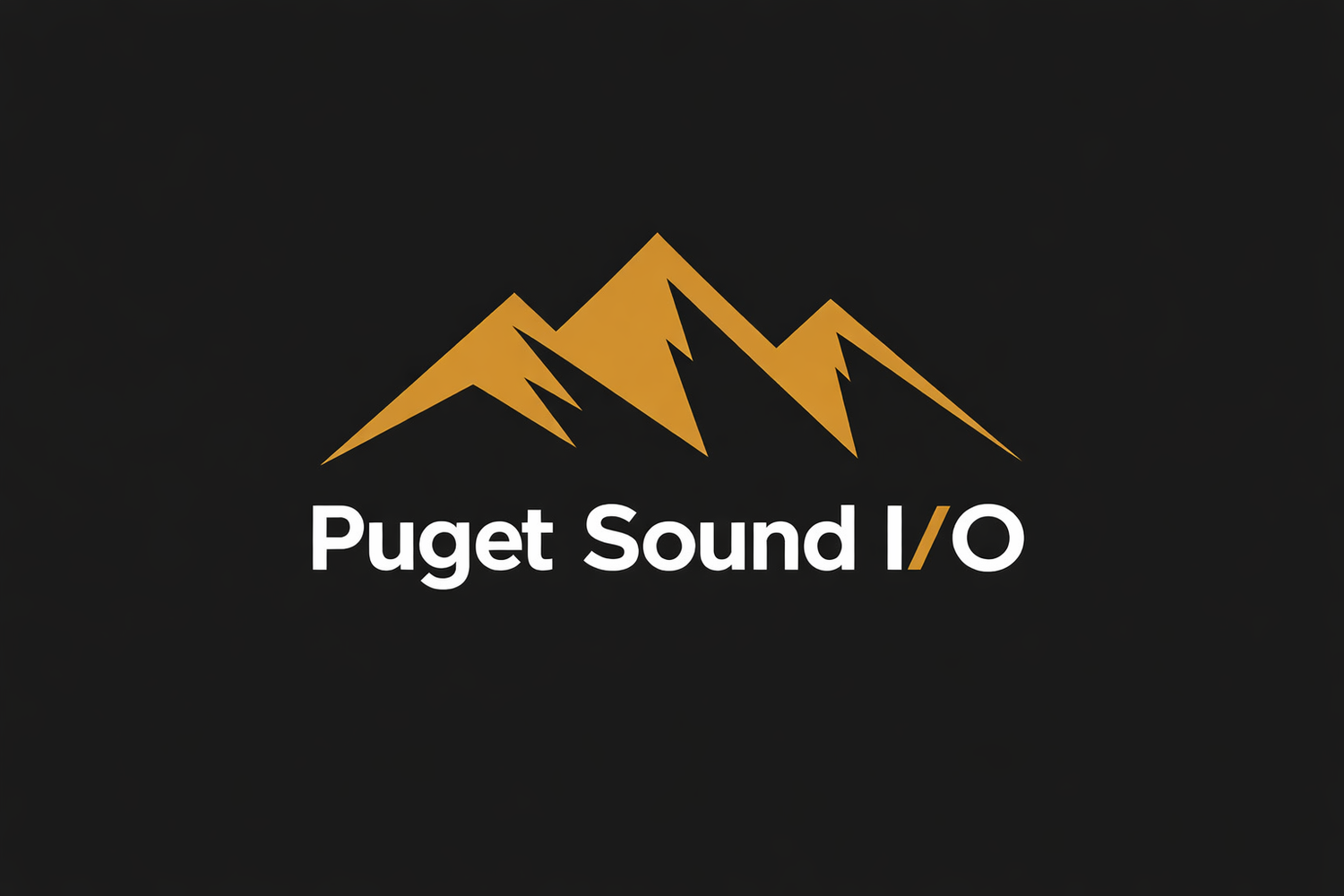 Puget I/O - Adlerian-informed. Equity-centered. Results-driven.