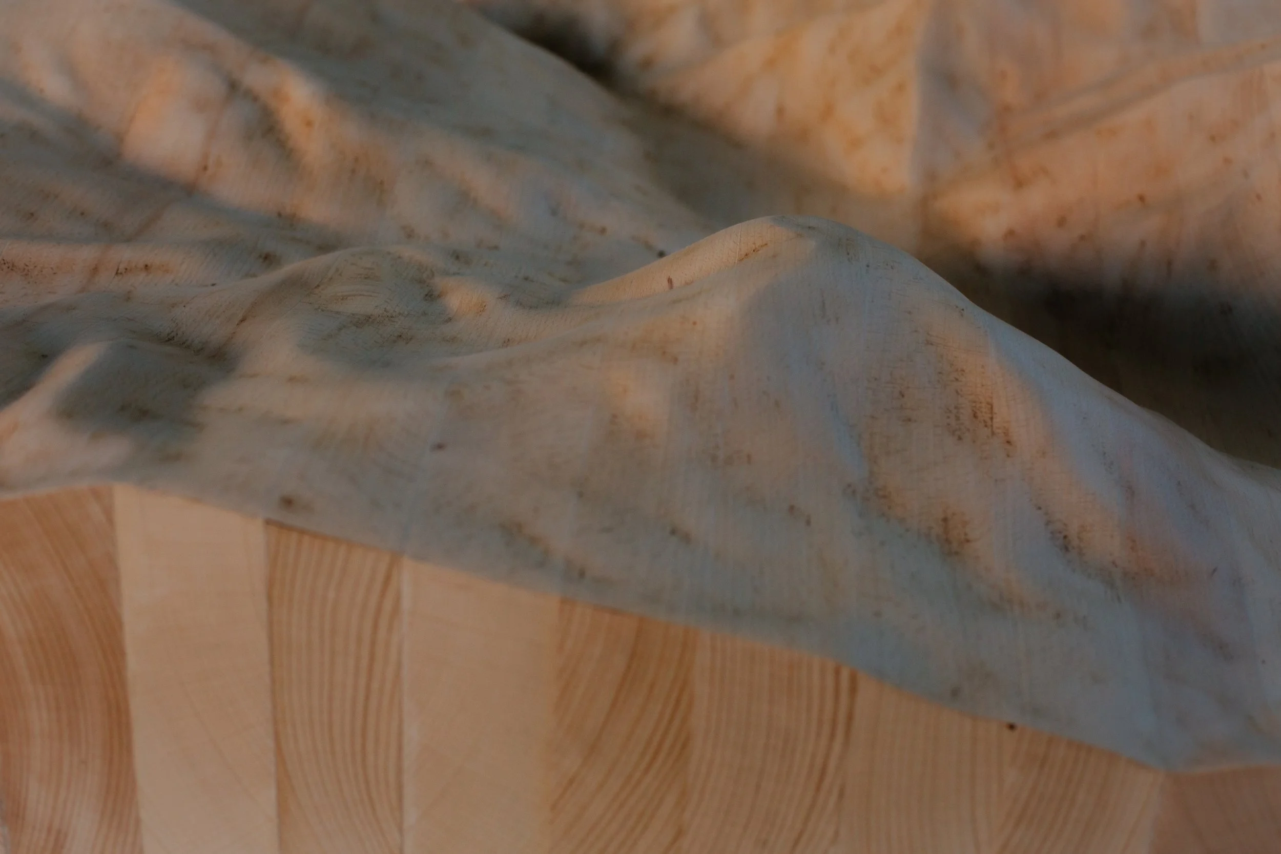 Vista cercana de una superficie de madera con texturas y vetas visibles.