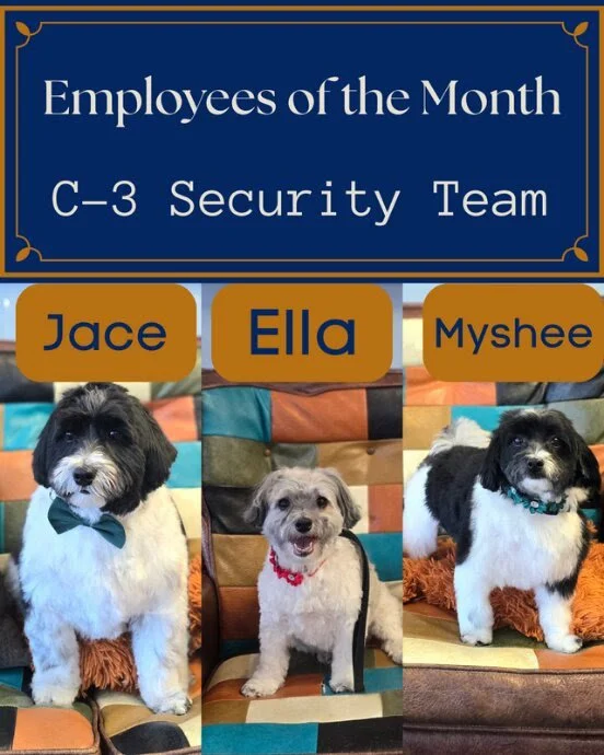 March-ing towards spring!