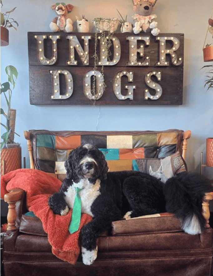 Spring is finally here!