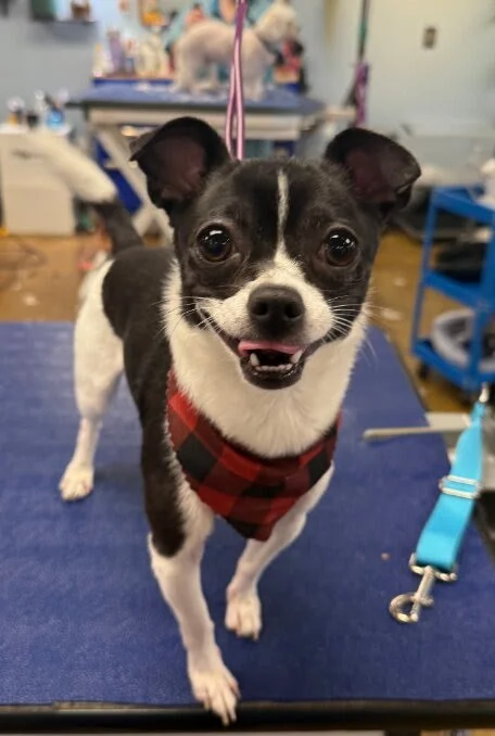 2026 Coming in cold!