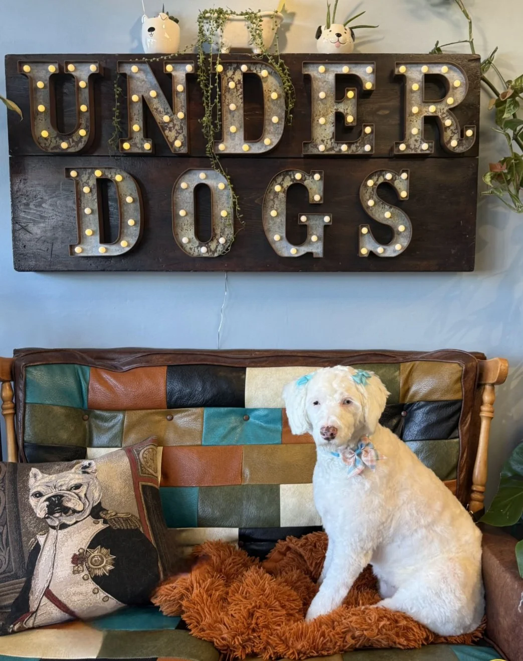 What’s new in December?