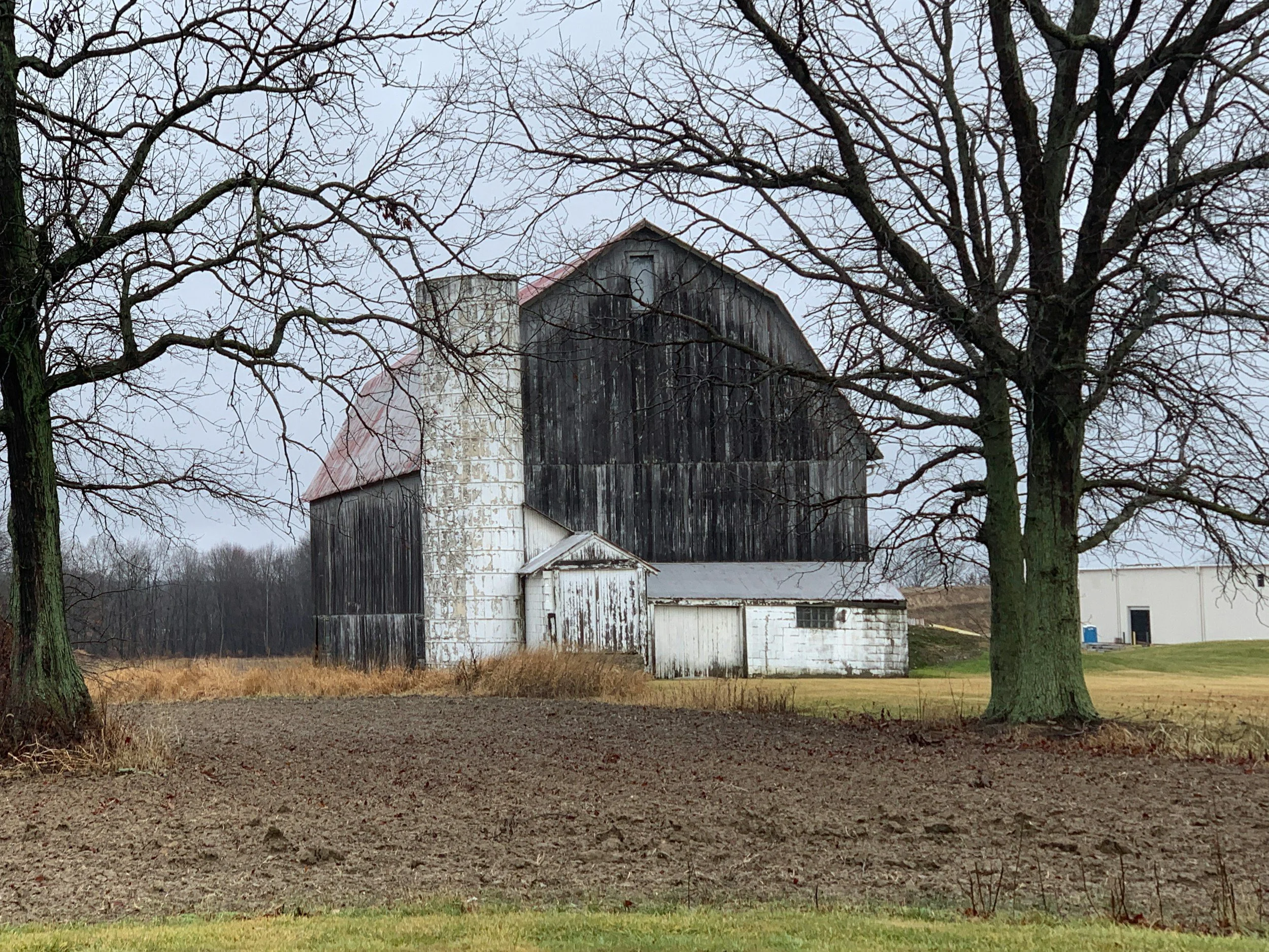 The Old, Grey Barn