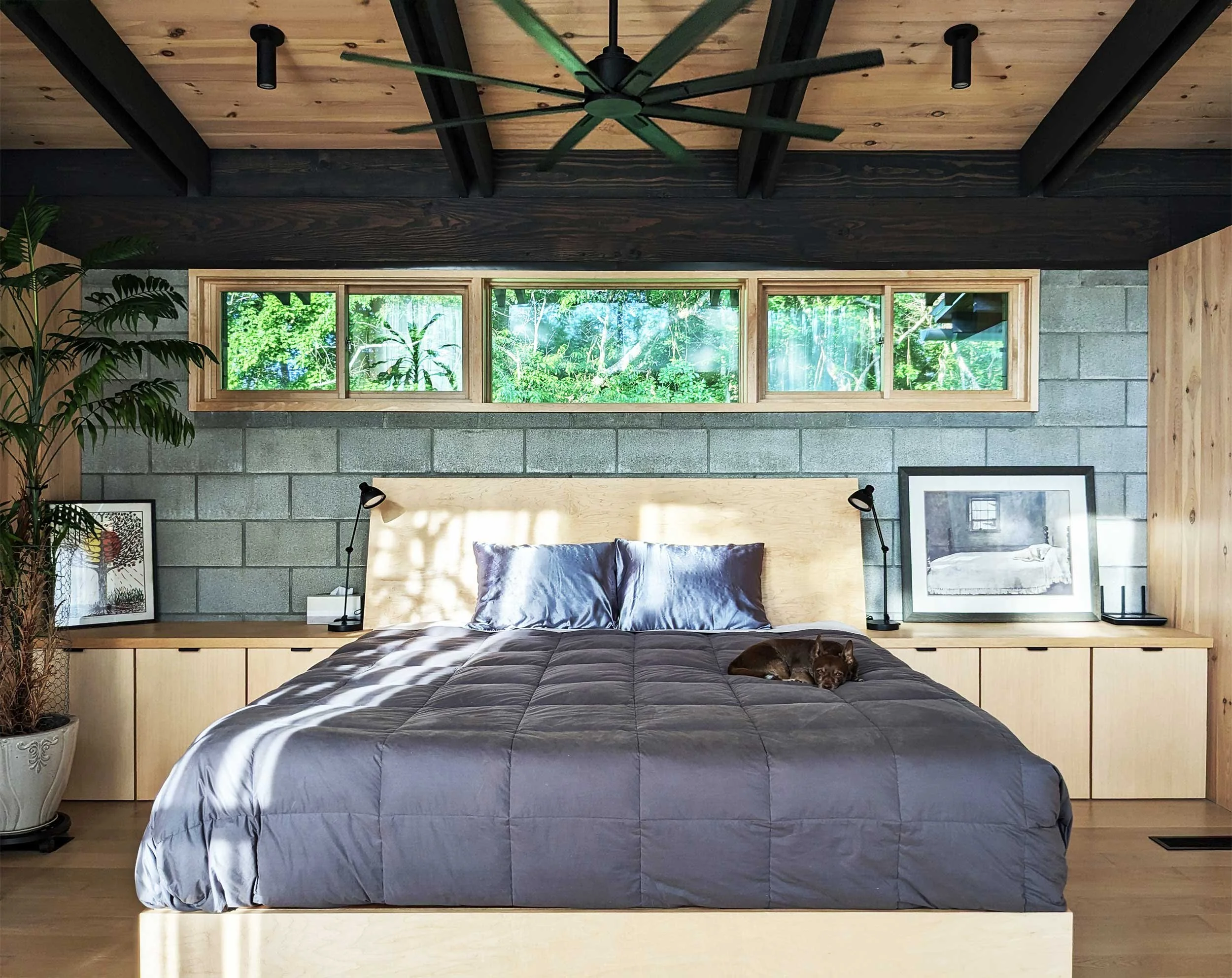 Modern bedroom interior with a large bed covered in a gray quilt and a sleeping dog on top, wooden headboard, black bedside lamps, large window showing green trees outside, potted plant, framed artwork, and a ceiling fan.