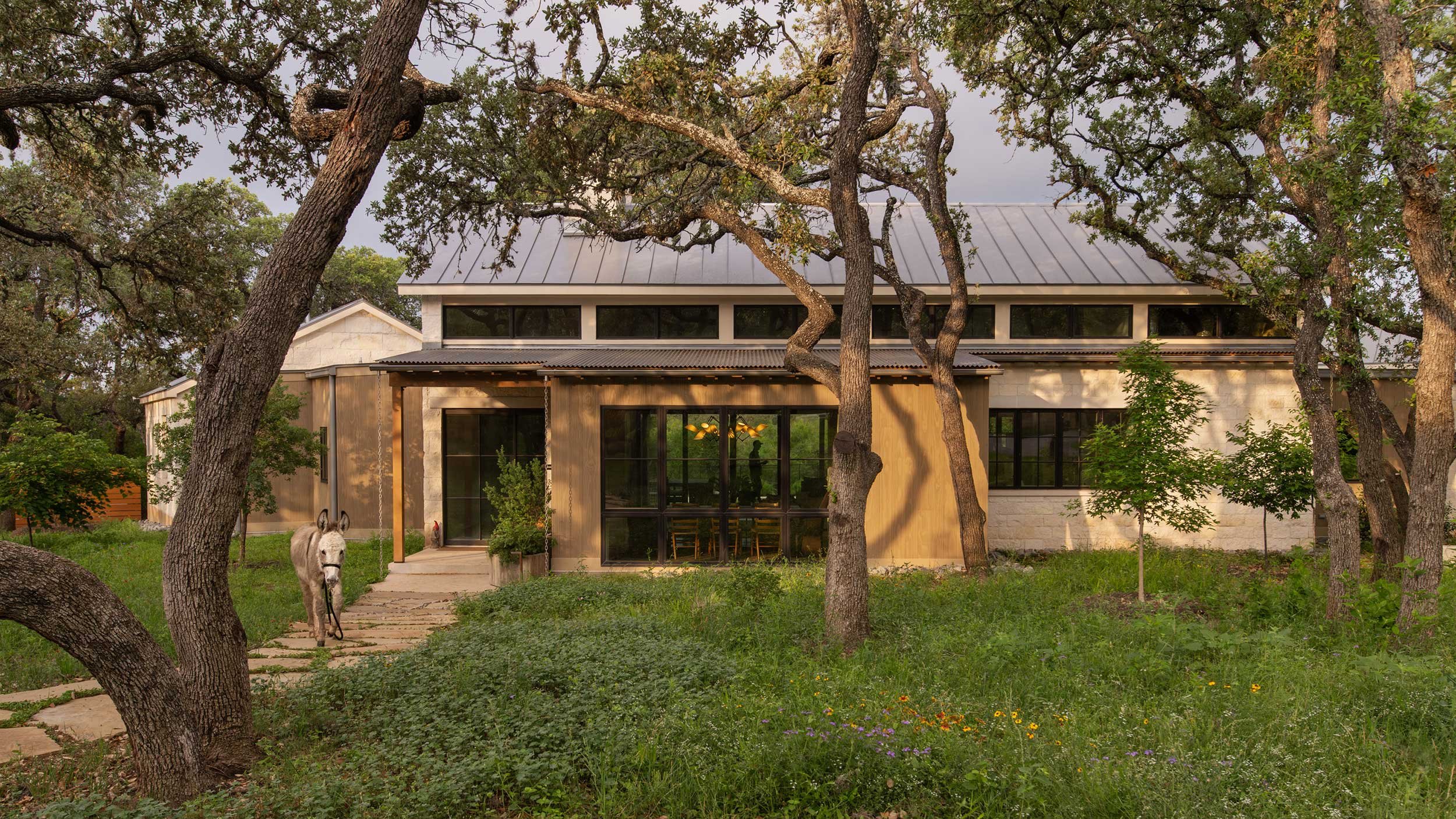 Modern house with large windows, surrounded by trees, with a donkey walking on a stone pathway.
