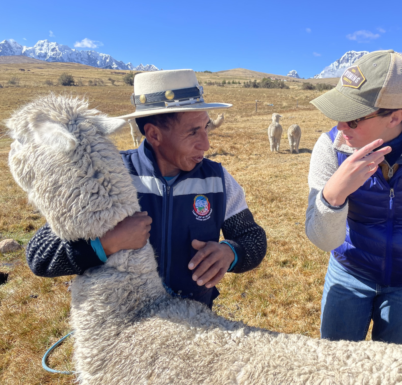 Two men talking outdoors in a mountainous landscape with llamas grazing in the background. One man is holding a llama's woolly body while the other is gesturing in conversation.