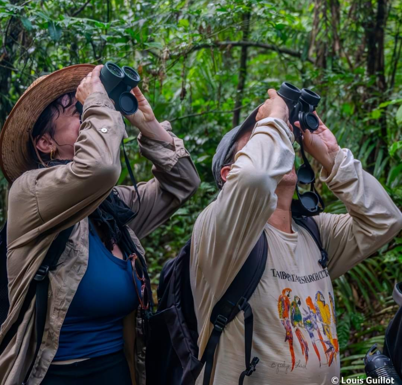 Two people in a lush, green forest looking up through binoculars, wearing outdoor hiking gear and backpacks.