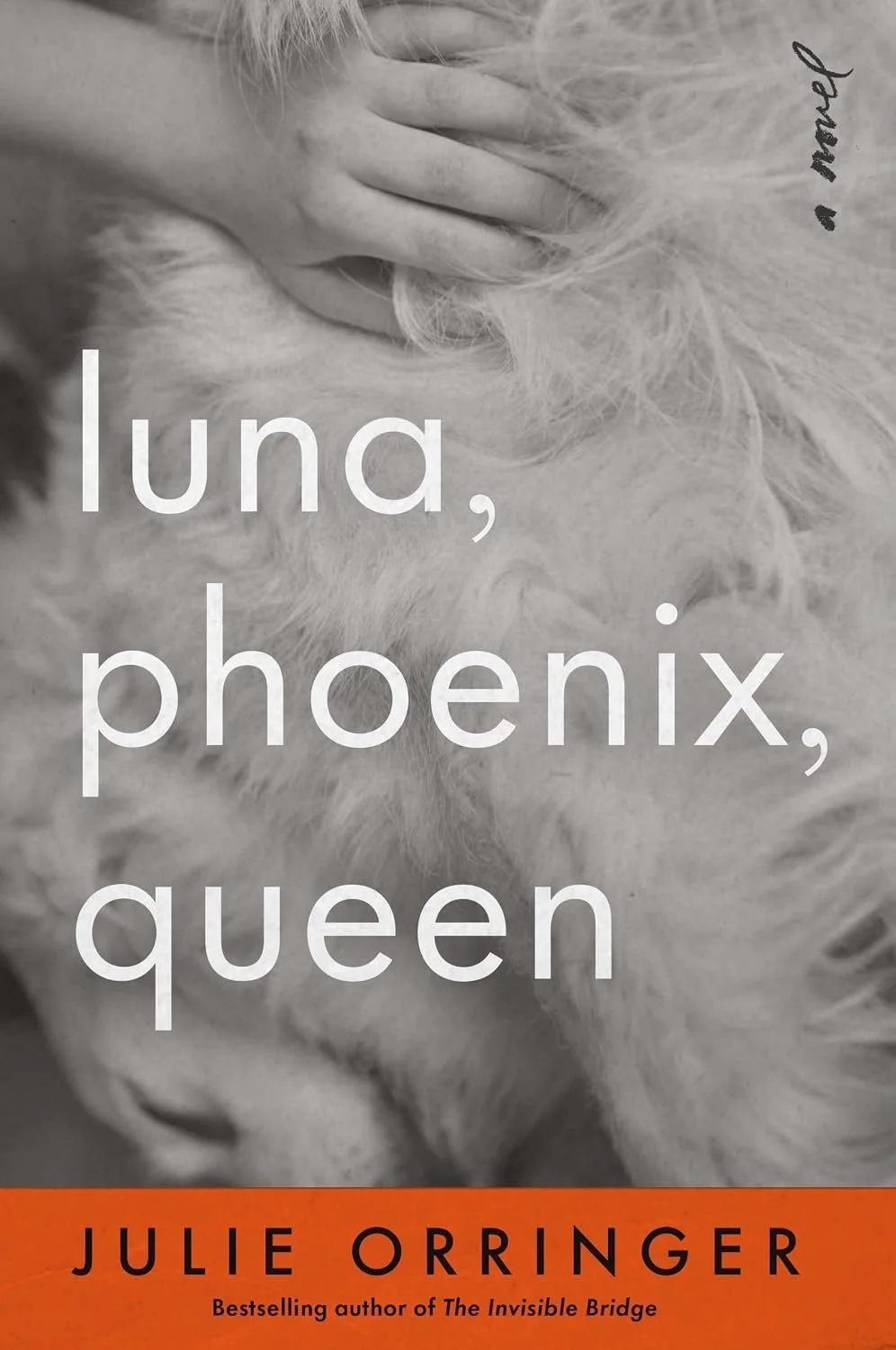 Luna, Phoenix, Queen by Julie Orringer