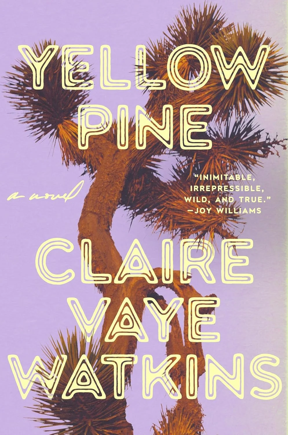 Yellow Pine by Claire Vaye Watkins