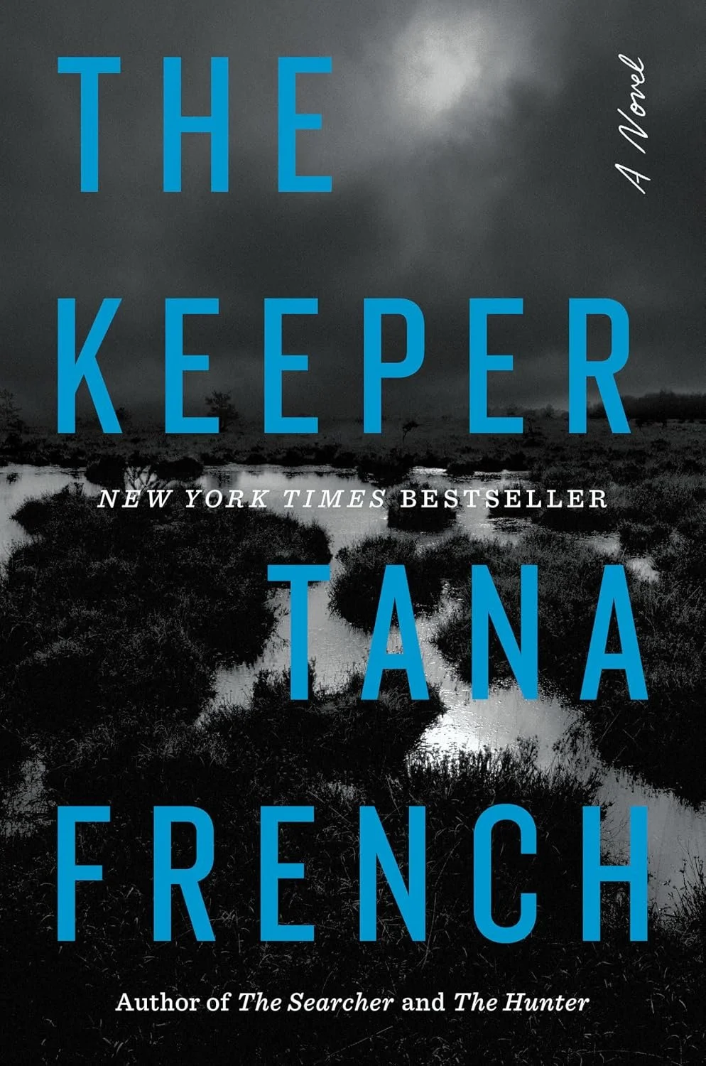 The Keeper by Tana French.jpg