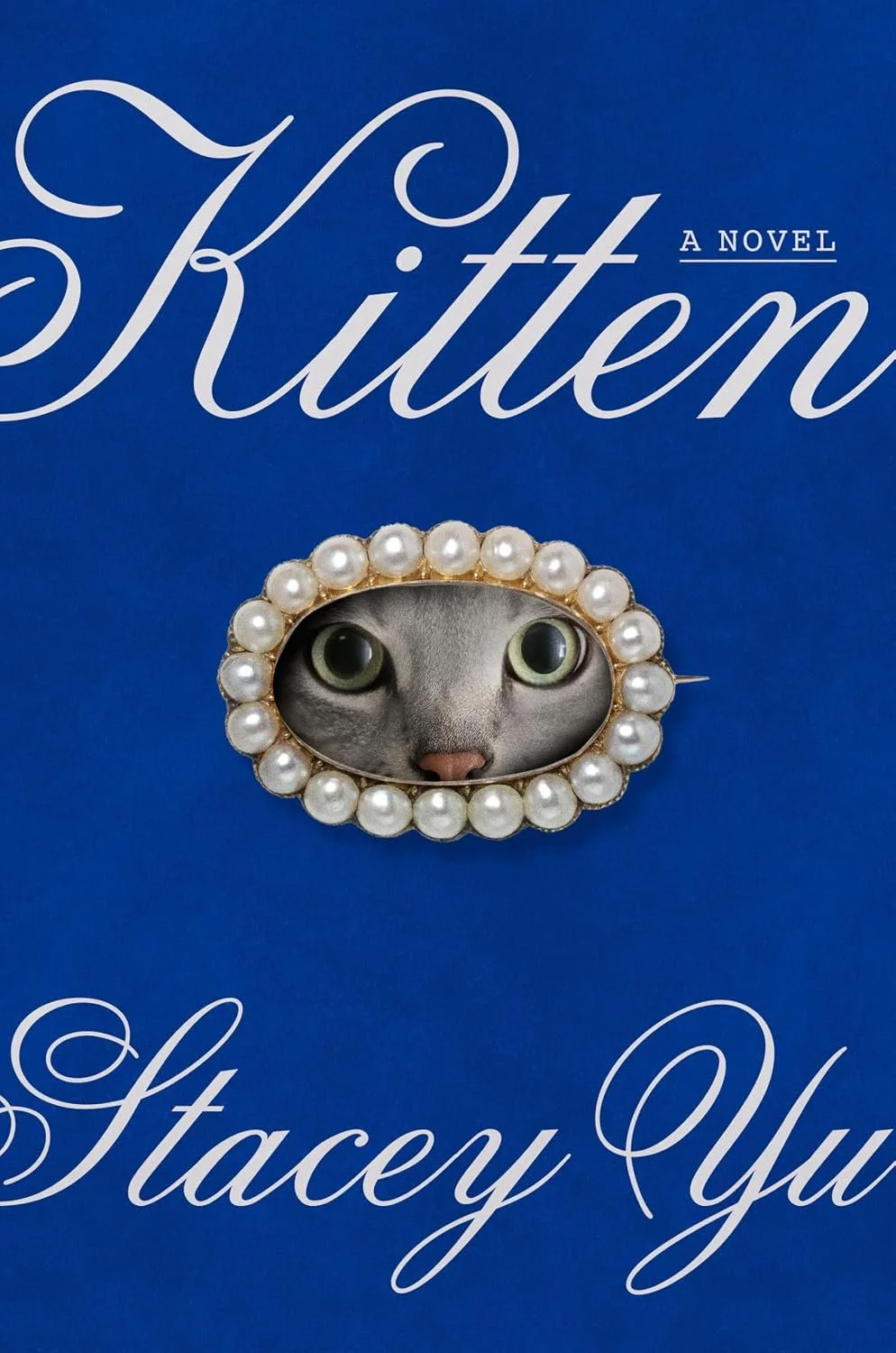 Kitten by Stacey Yu