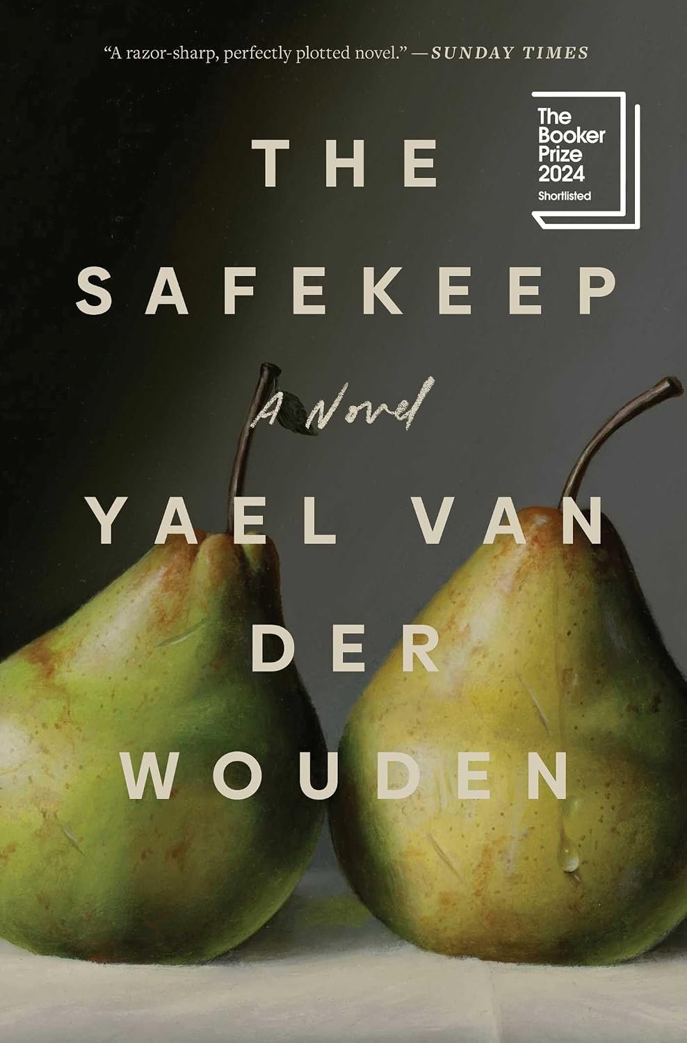 The Safekeep by Yael van der Wouden