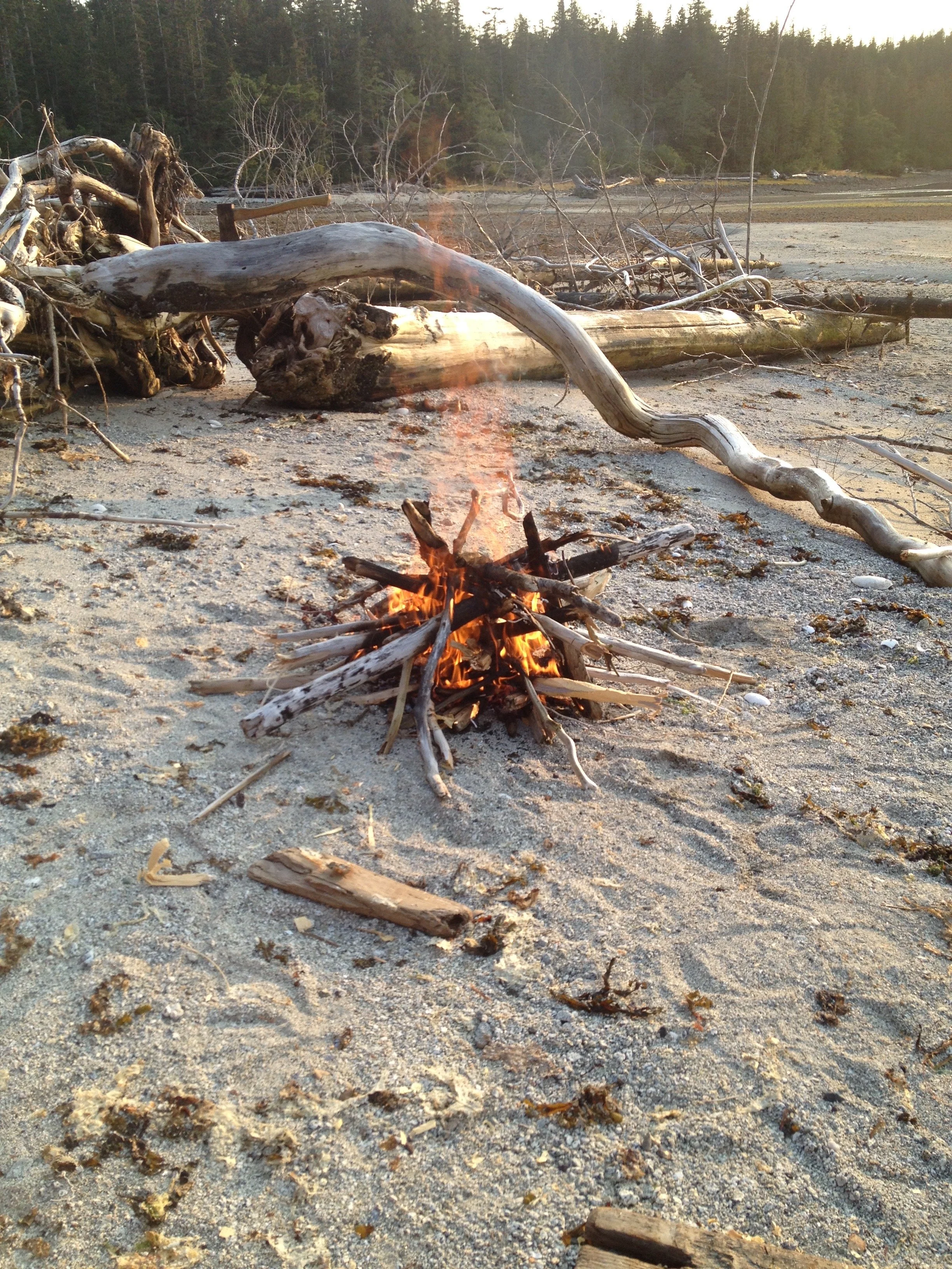 Beach fire - Home Bay, BC.JPEG