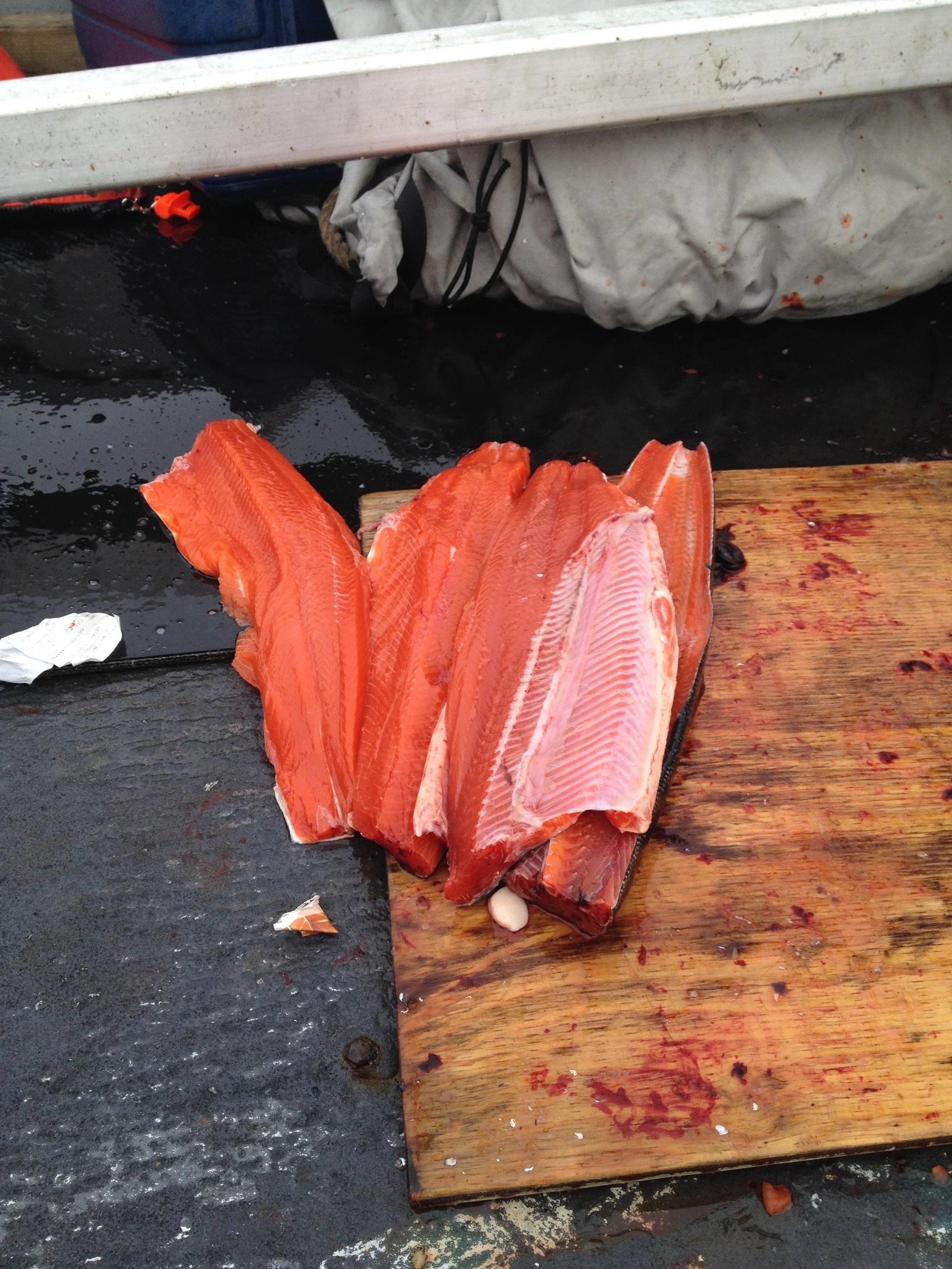 Salmon Filets.JPEG
