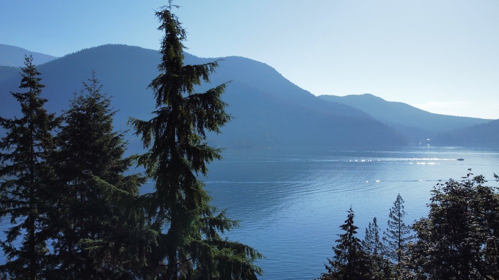 dji_fly_20221003_104120_10_1664818908296_photo_optimized.JPG