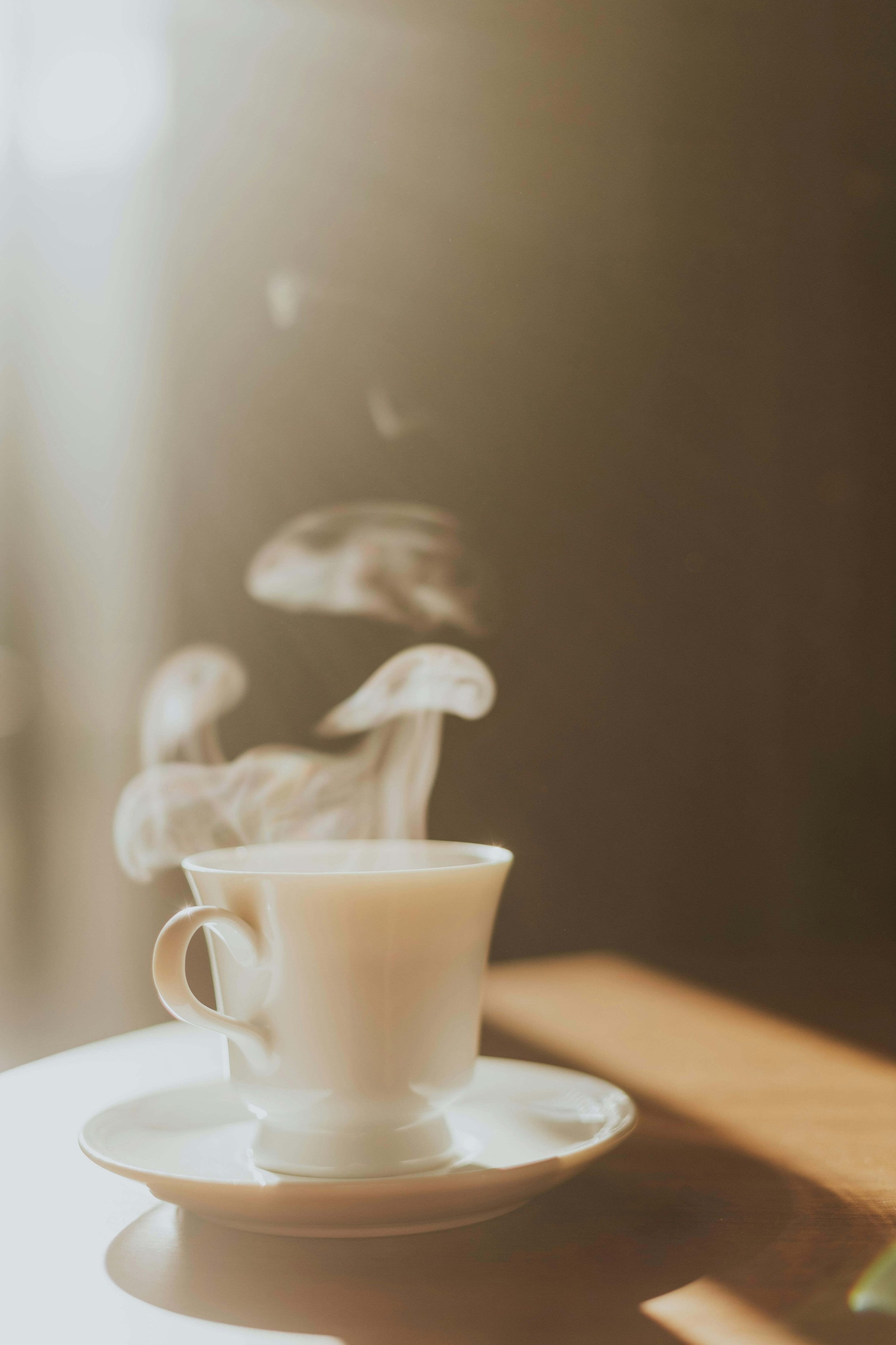 Close-up of a white teacup on a saucer with steam rising from the hot beverage inside, placed on a table with blurred background.