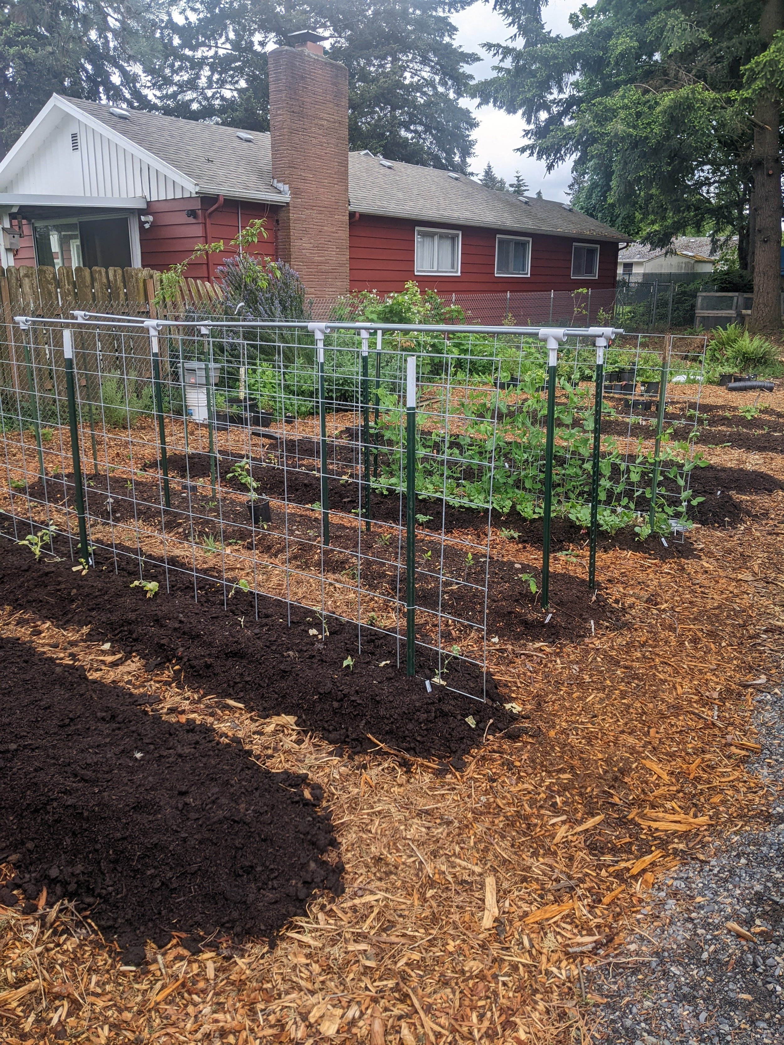 PXL_20220527_171448355.MP (1).jpg