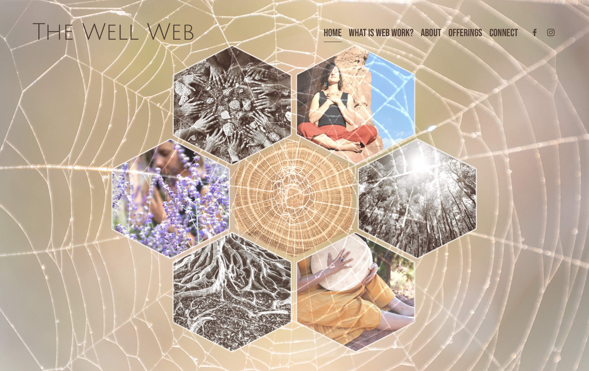 Website homepage with custom collage of nature and client images, symbolic spider web overlay, website navigation menu, and social media links.