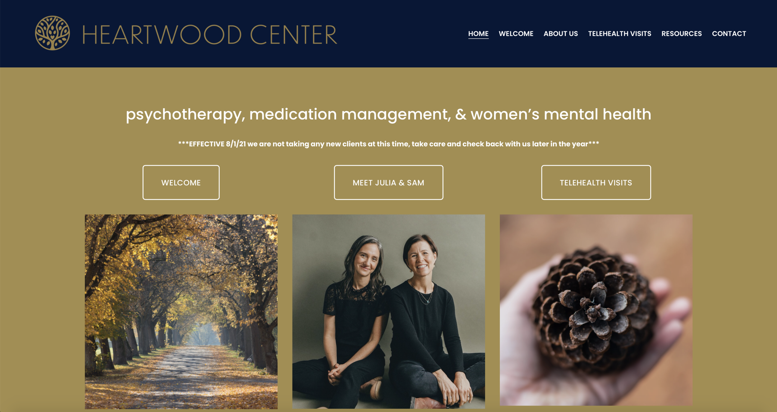 Homepage of Heartwood Center offering psychotherapy, medication management, and women's mental health services, featuring a navigation menu, symbolic pathway image, and photo of the providers.