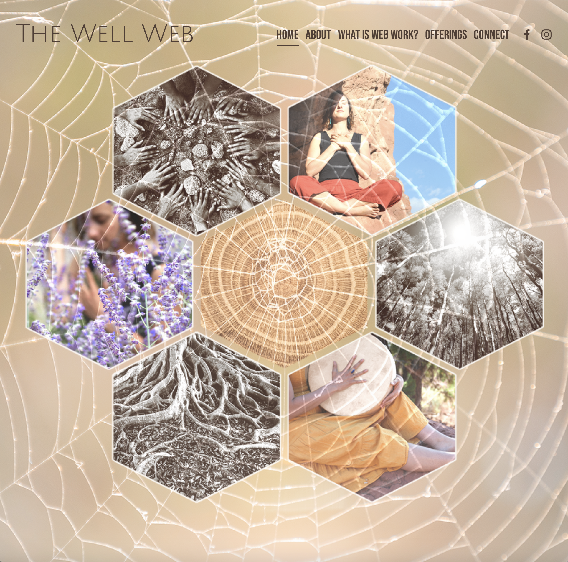 Webpage titled 'The Well Web' featuring a background of a spider web and hexagon images of community hands, meditation, flowers, forest trees, tree root system, and a person holding a drum.