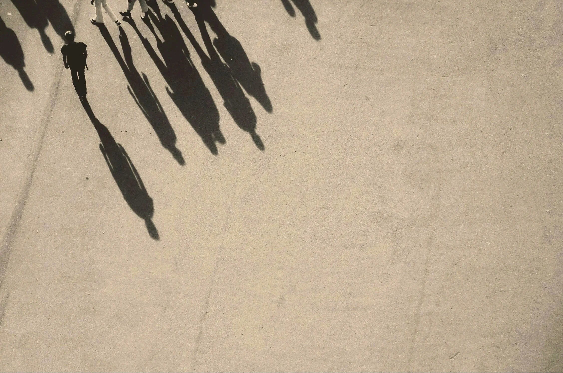 Shadows of several people walking on a light-colored concrete sidewalk, cast by sunlight.