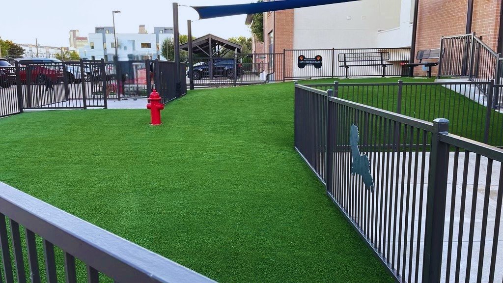 Dog Park.jpg