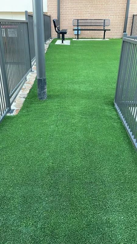 Dog Park - Loft & Row - 1.jpeg