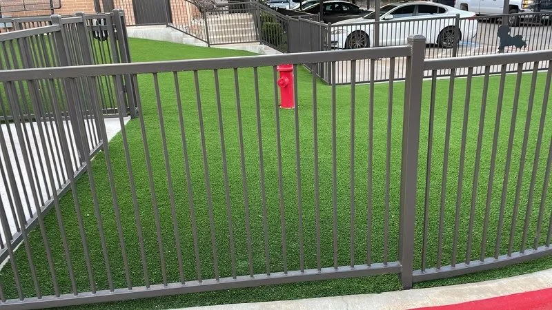 Dog Park - Loft & Row - 2.jpeg