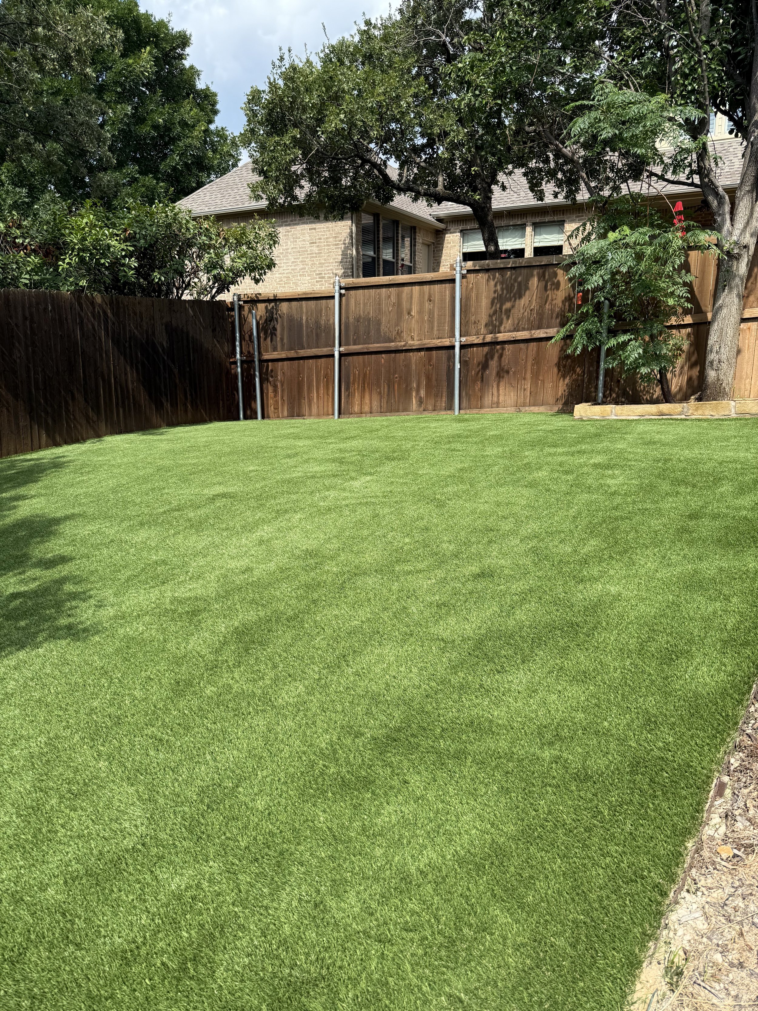 Backyard with well-maintained green grass, a wooden fence, and several trees, with a house visible behind the fence.
