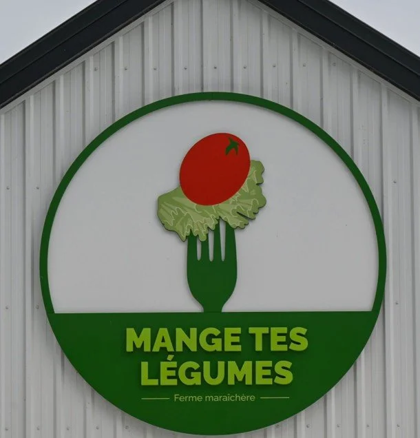 Image6.jpg