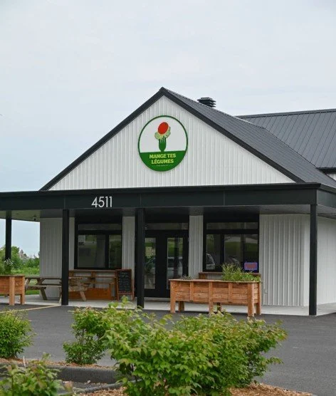 Image5.jpg