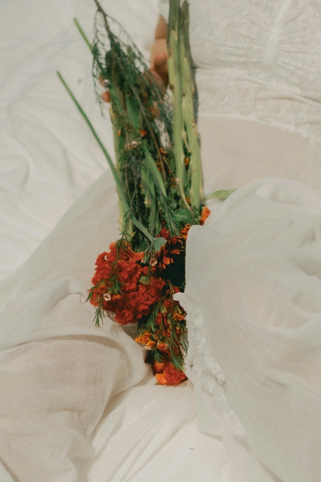 A bouquet of mixed flowers with red, orange, and green colors. Natural remedies are here.