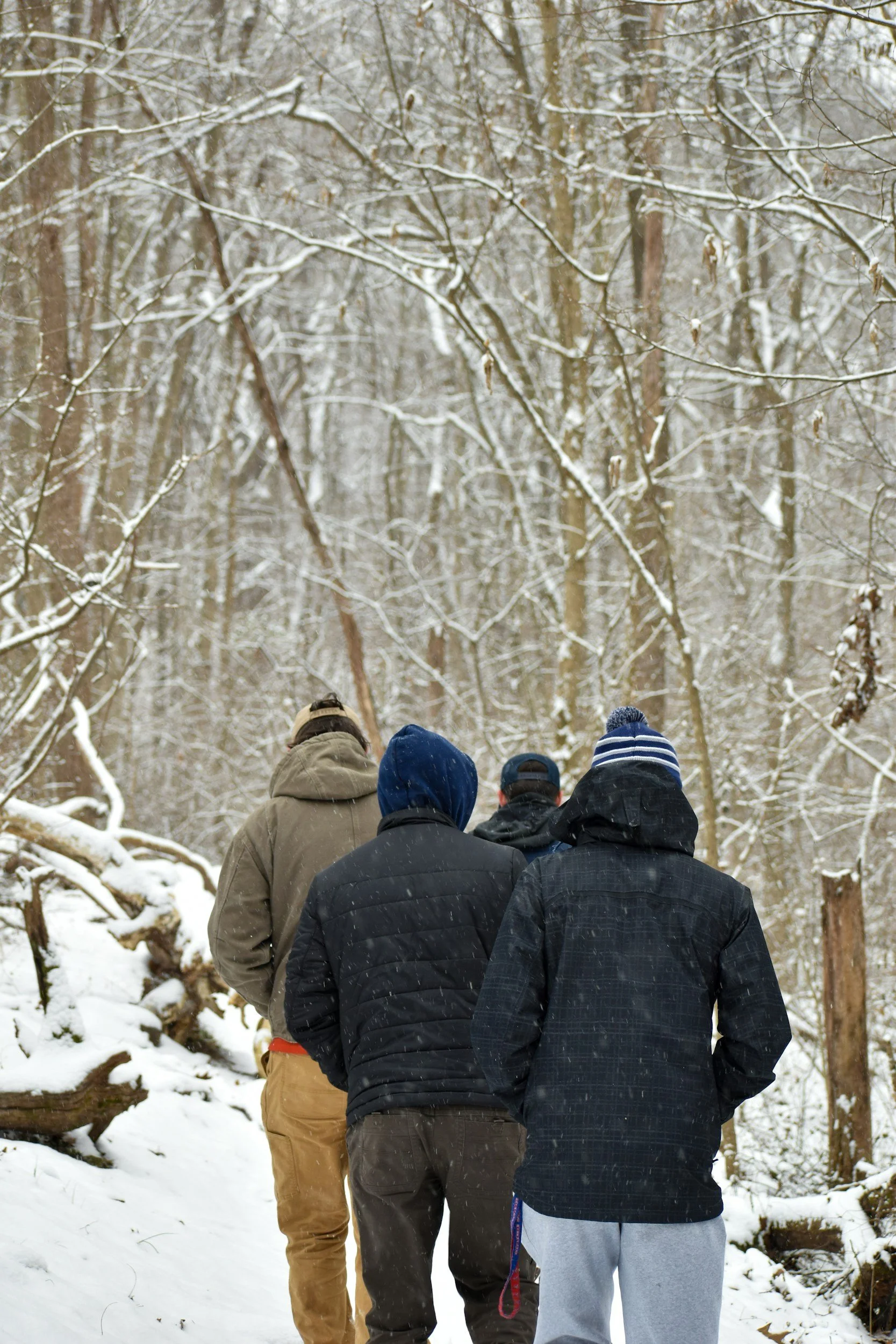 Four people walking together in a snowy forest, wearing winter clothes.