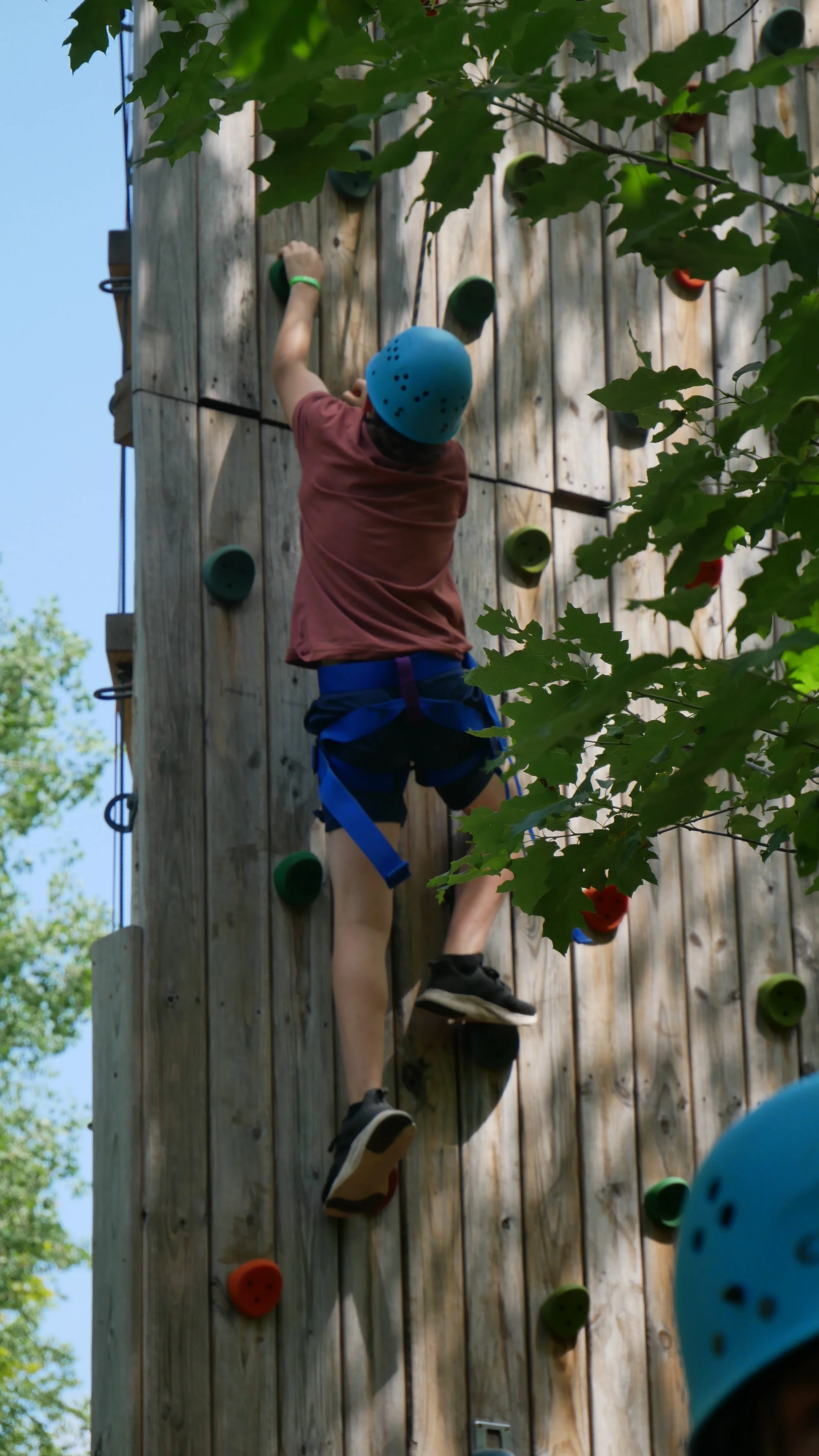 Child wearing a blue helmet and climbing a wooden outdoor rock wall with colorful handholds, surrounded by green leaves.