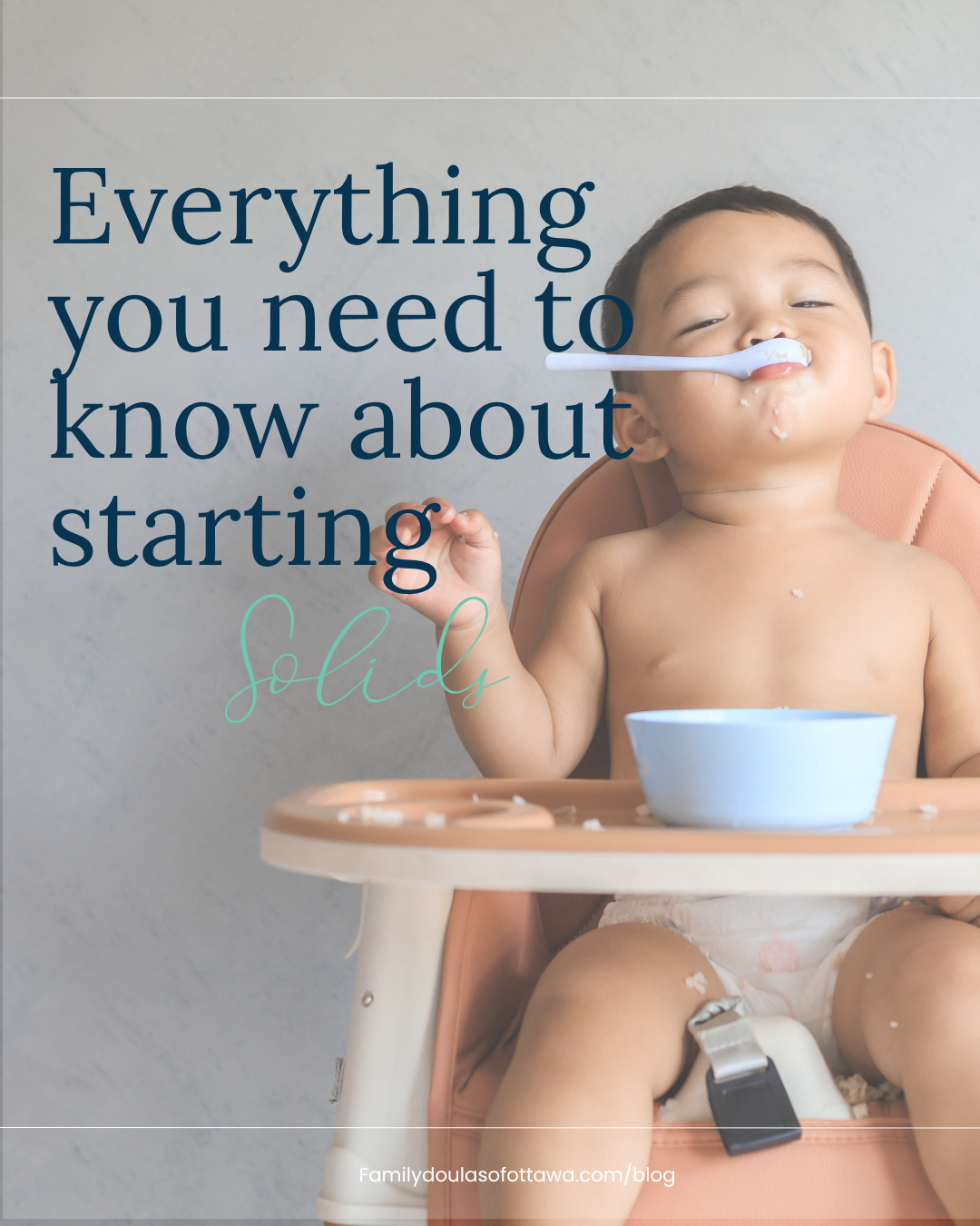 Everything Your Need to Know About Introducing Solids