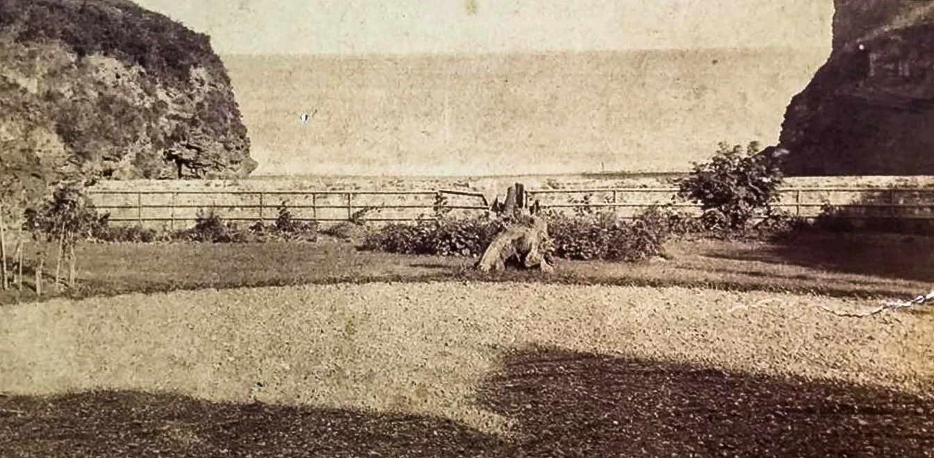 Waterwynch-view-1880.jpg