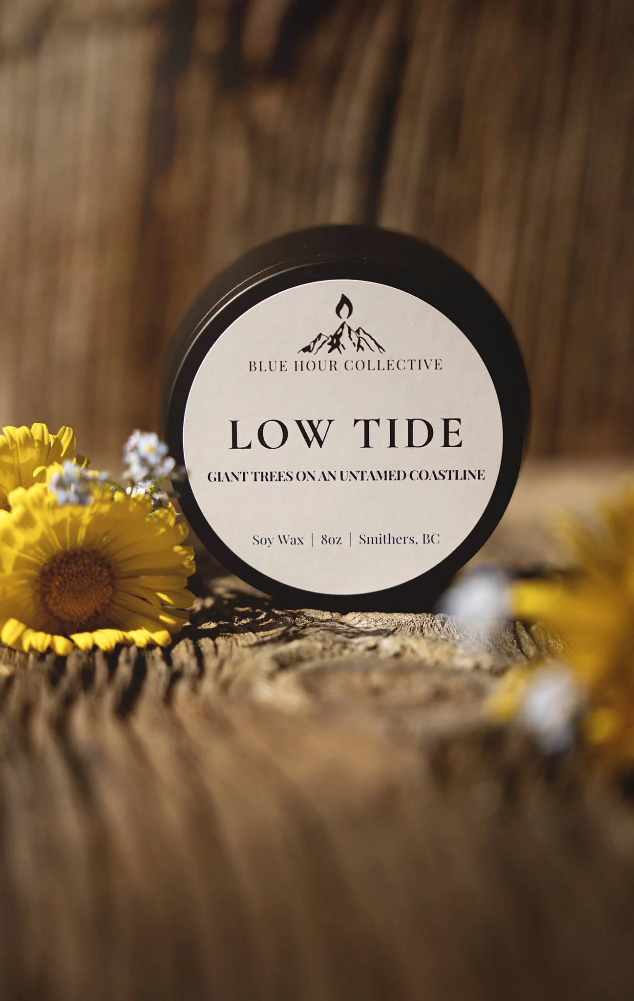 Low Tide