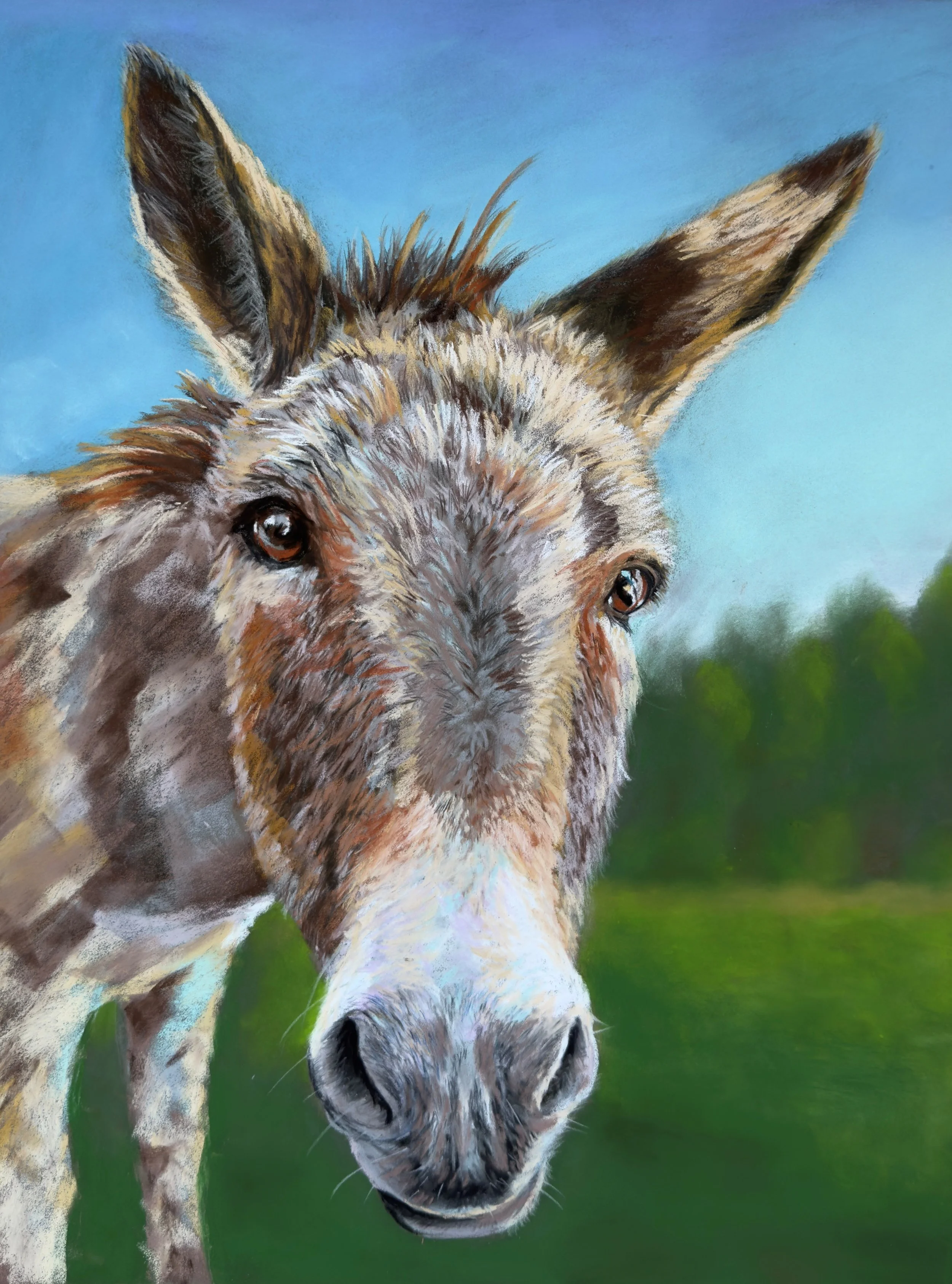 donkey.jpg
