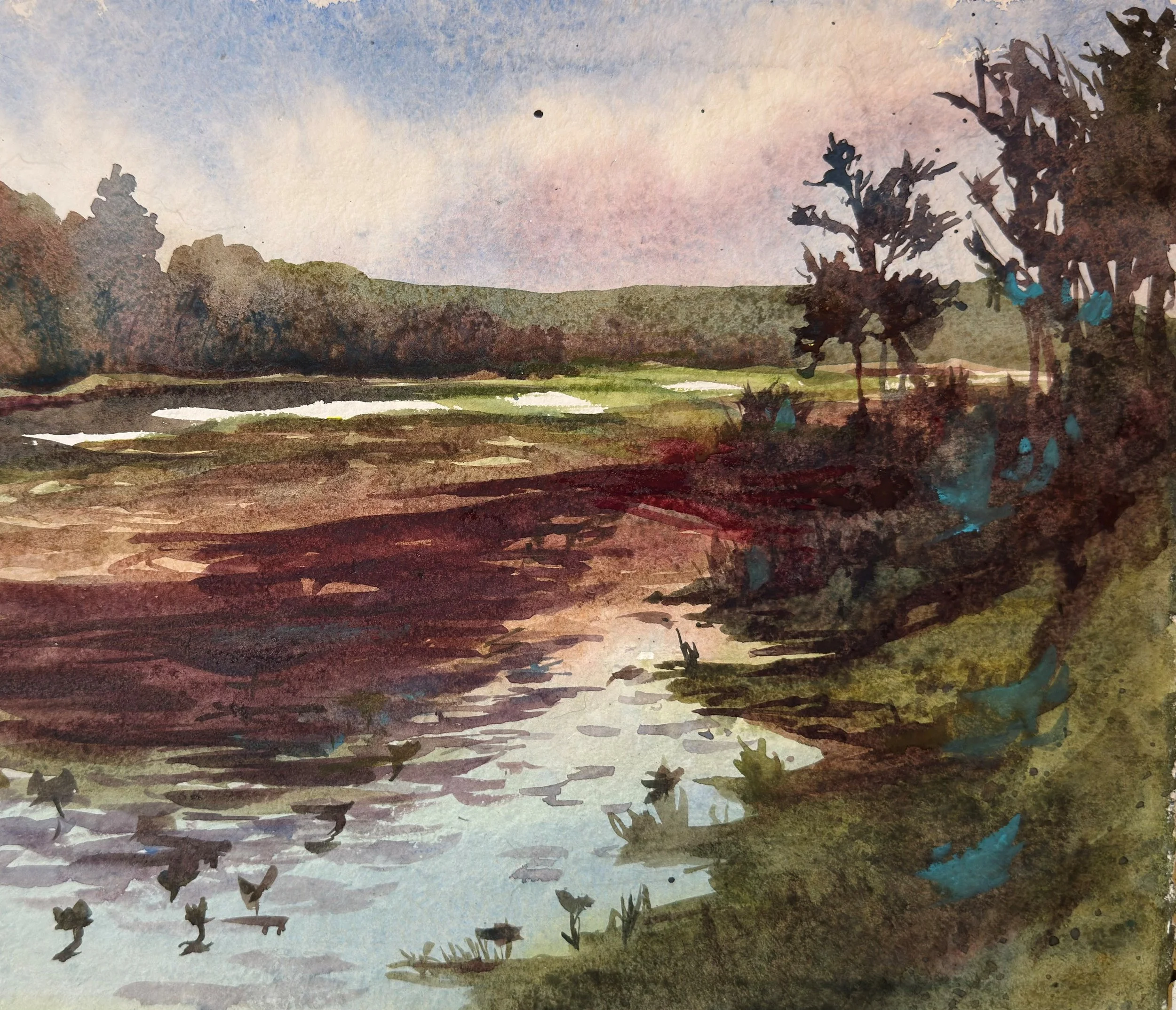 pond.jpg