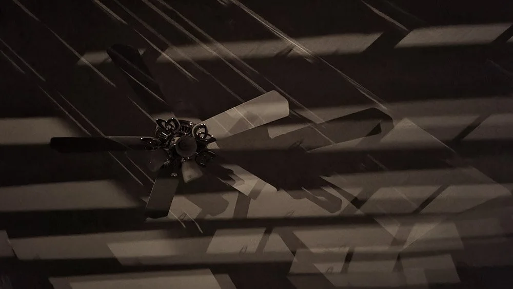 2024 Home   2024  www.bobshonkoff.com.jpg