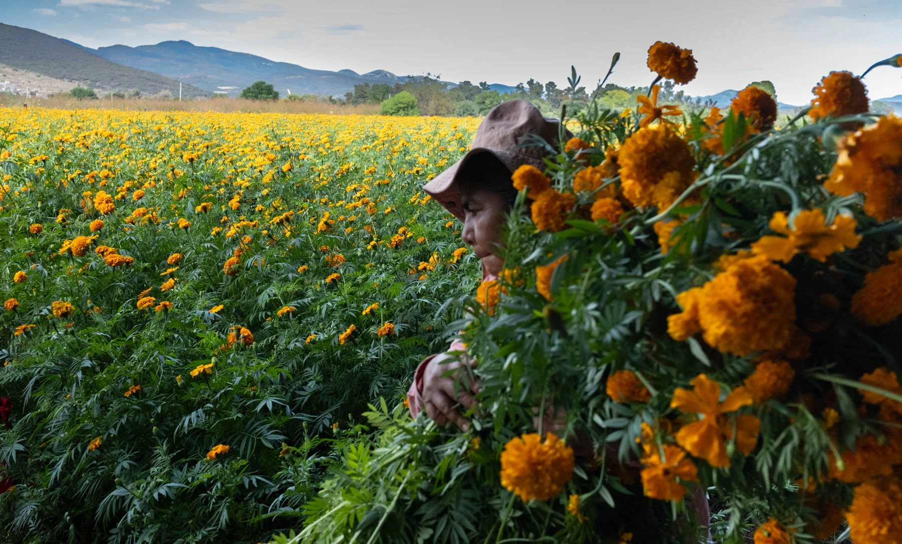 2025_10DSCF1112 - untitled.jpg