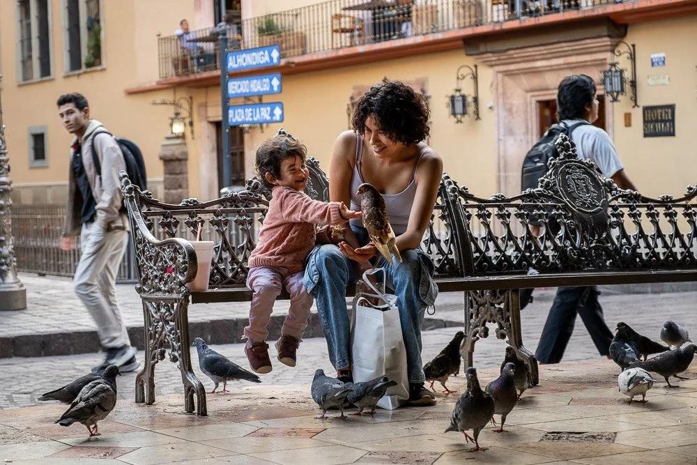 Day 3 Guanajaunto   2025 _.jpg