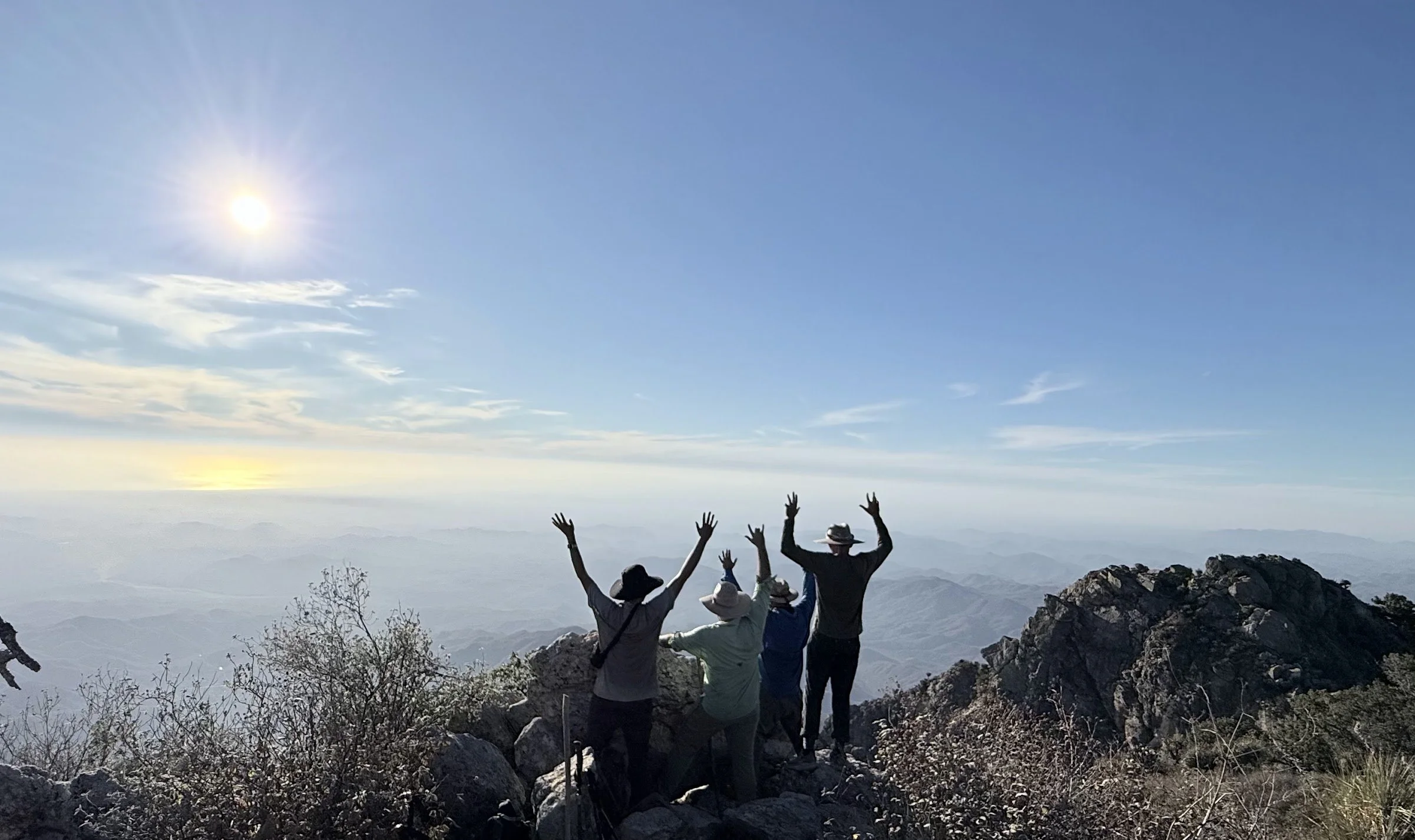 The March of Fools to El Picacho de la Sierra de Laguna